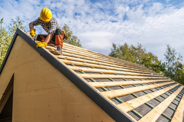 Best Roof Gutter Cleaning  in Richmond, MN
