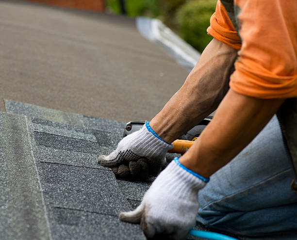 Best Emergency Roof Repair  in Richmond, MN